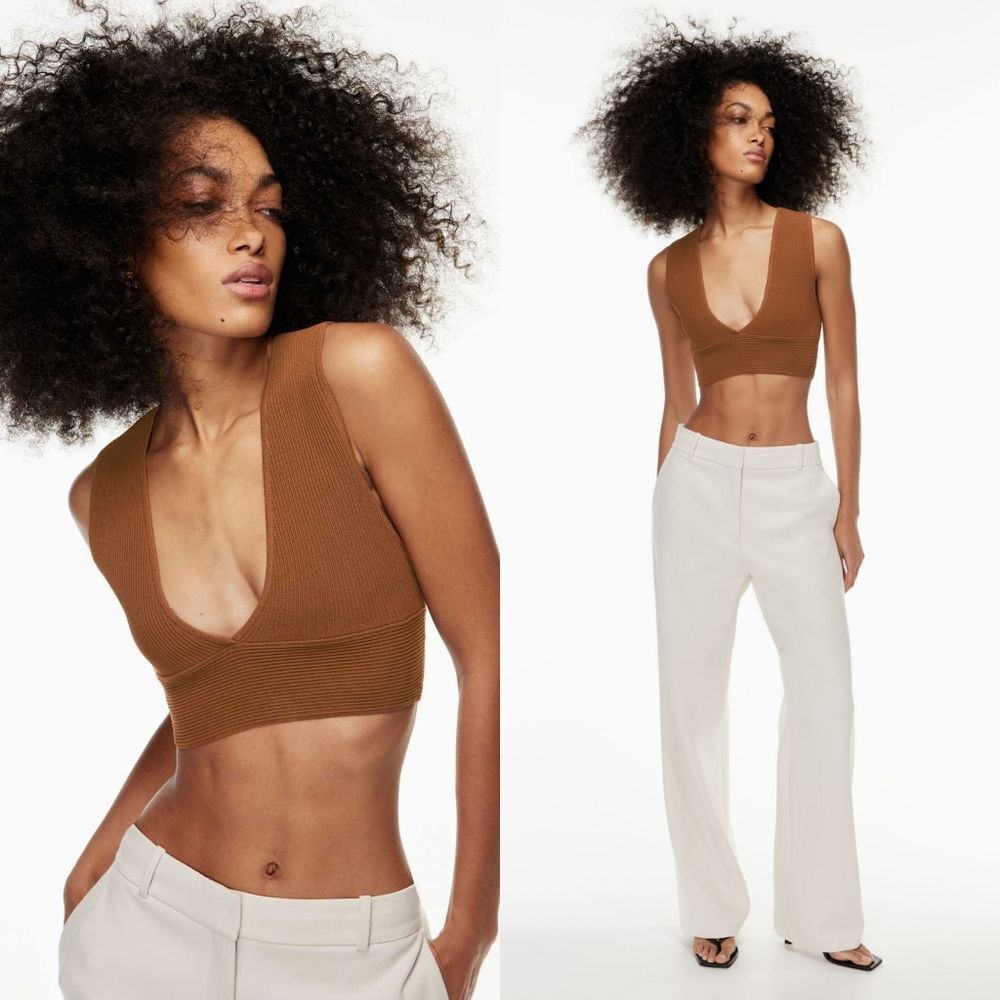 Aritzia Babaton Sculpt Knit Ribbed Deep V-Neck Cropped Tank Top Saville Brown XS